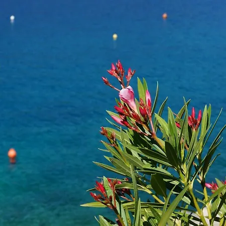 Layla - Intermezzo With Sea View In Center Of