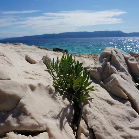 Apartment Layla - Intermezzo With Sea View In Center Of Rabac