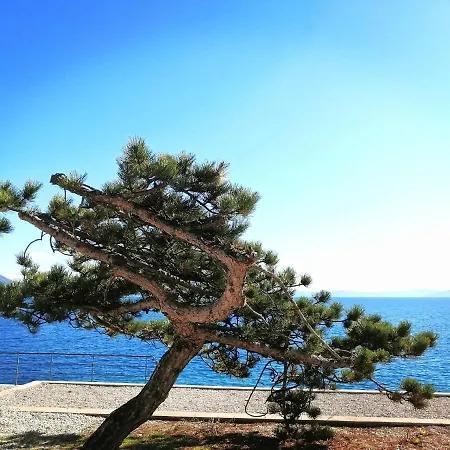 Apartment Layla - Intermezzo With Sea View In Center Of *