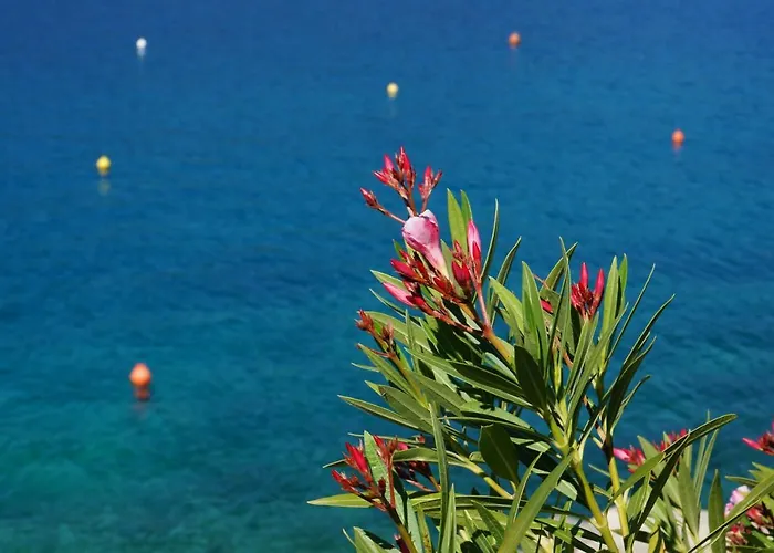 Layla - Intermezzo With Sea View In Center Of