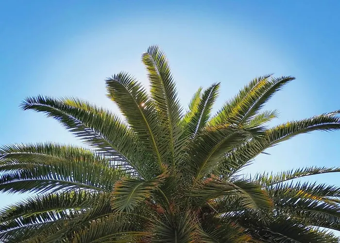 아파트 Layla - Intermezzo With Sea View In Center Of *